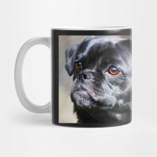"Pug Mug" Mug